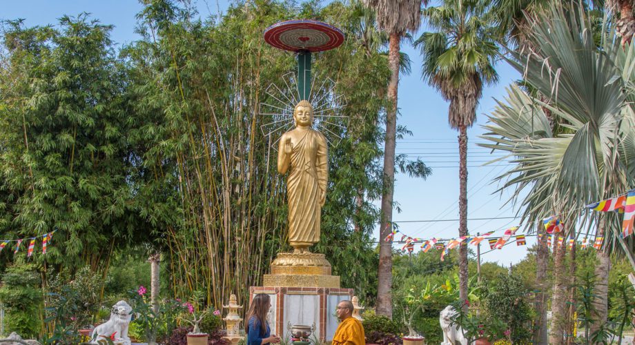 tourists walking through gardens with monk