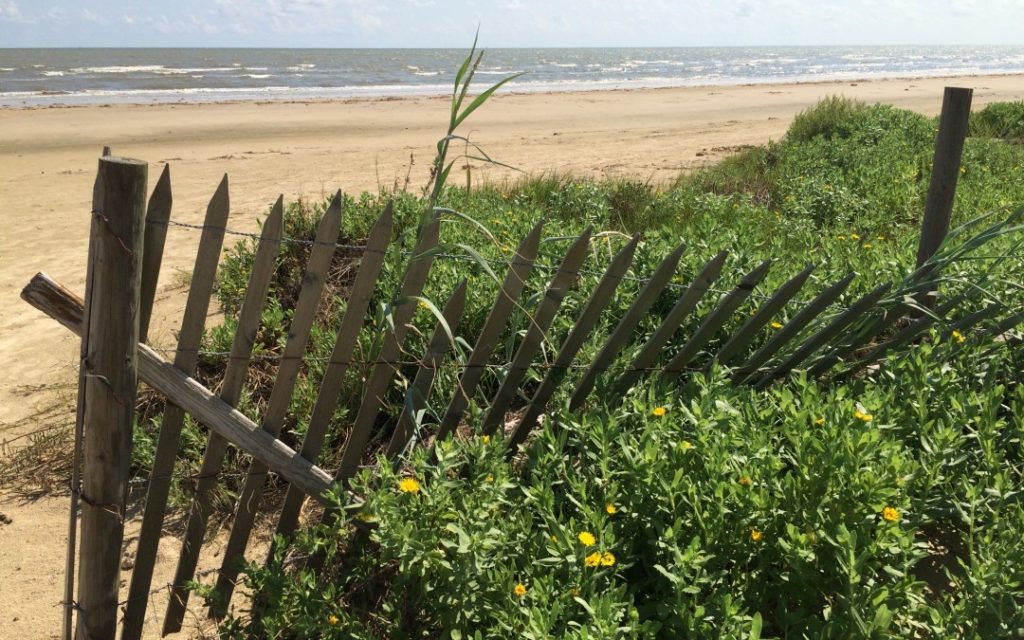 A gate on the beach