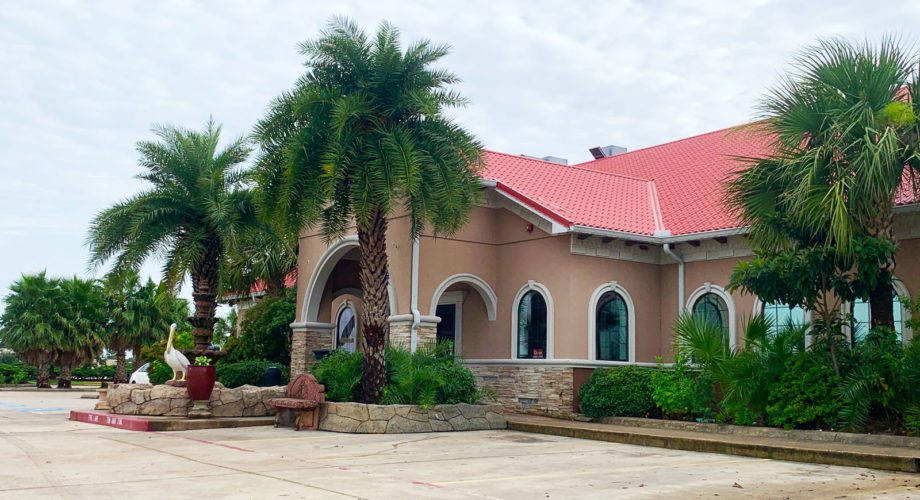 palm tree and restaurant