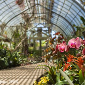 Shangri La Botanical Gardens and Nature Center in Orange.