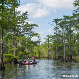 Neches River in the Big Thicket.