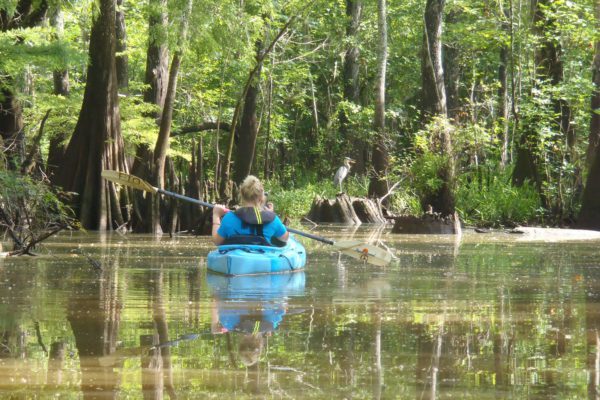 kayaker on village creek
