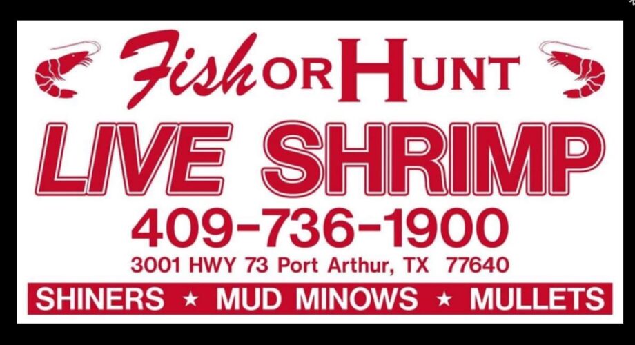 full service bait shop in port arthur texas