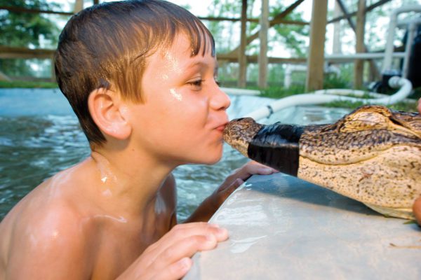 Boy Kissing Gator
