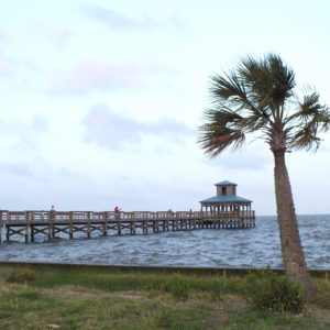 Pier and Palm Tree