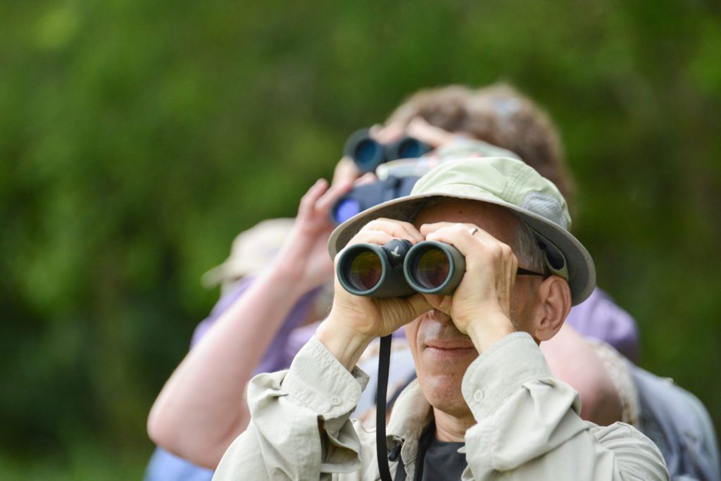 Man birding with binoculars