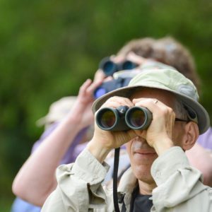 Man birding with binoculars