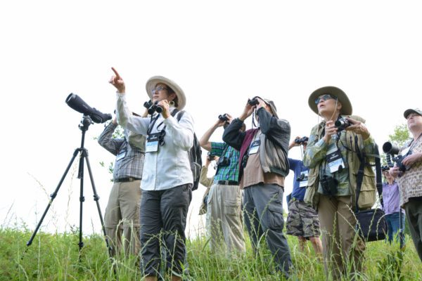 Birders with their binoculars