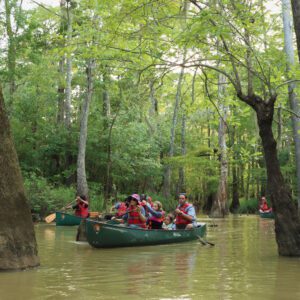 families paddling in big thicket national preserve