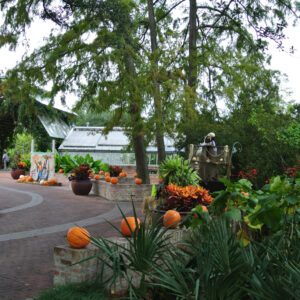 fall at shangri la gardens