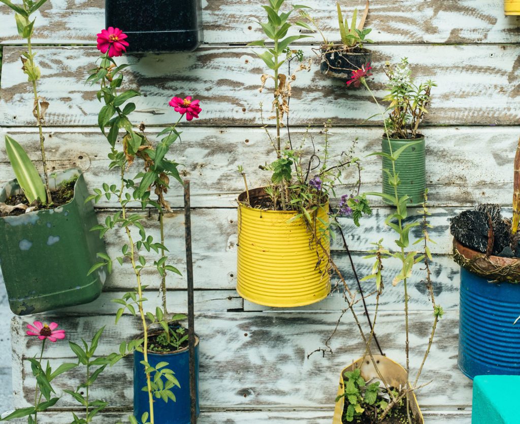 recycling potters hanging on a wall with plants