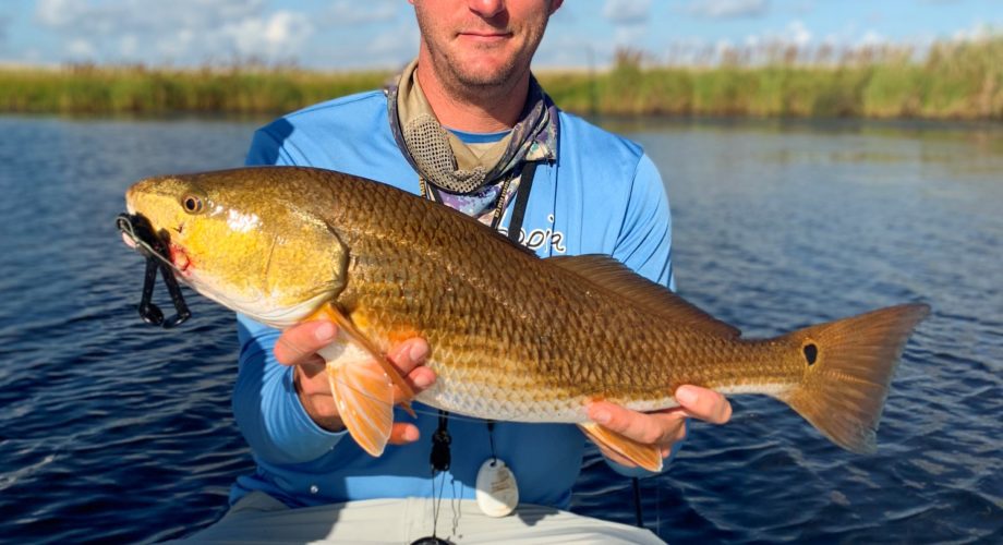man holding redfish in a boat