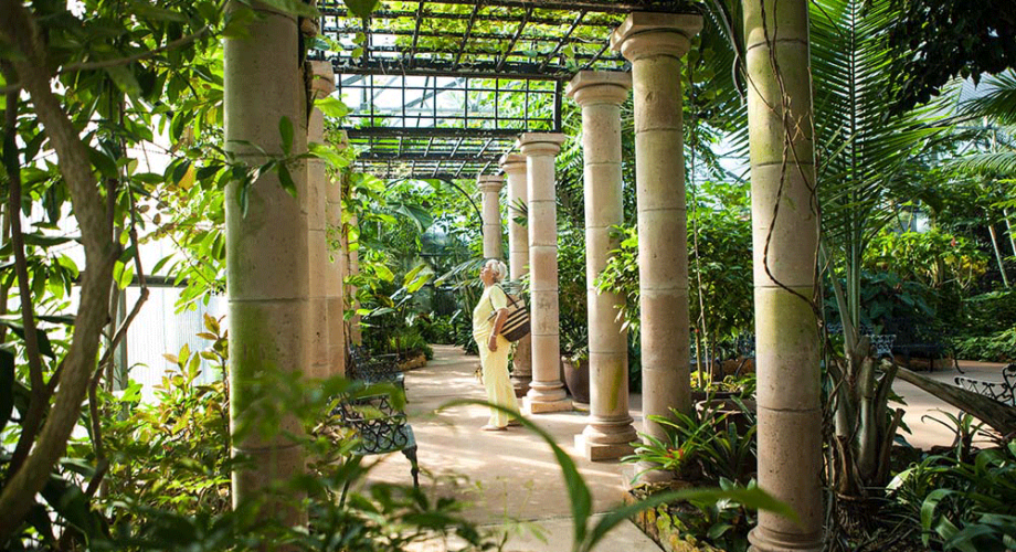 botanical gardens with columns