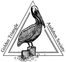 Brown Pelican logo