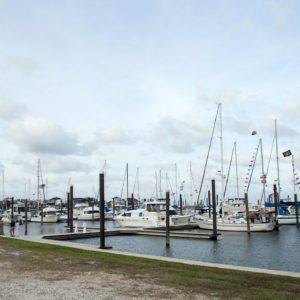 Pleasure Island Marina full of sailboats
