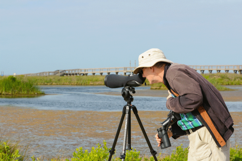 birder at sea rim state park in port arthur texas