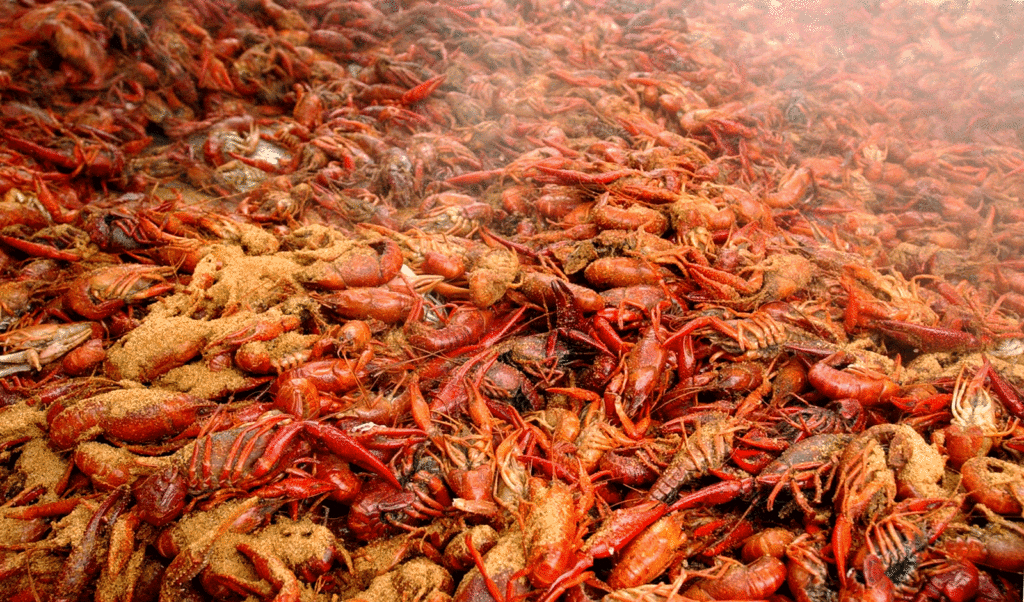 huge pile of seasoned crawfish in port arthur, texas