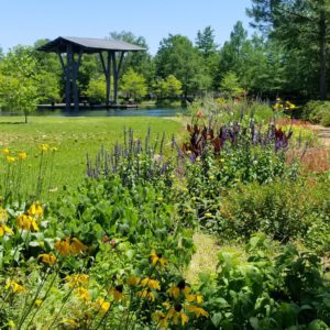 colorful gardens in port arthur texas