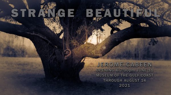 Strange-Beautiful-Jarome-Cabeen-Museum-of-the-Gulf-Coast