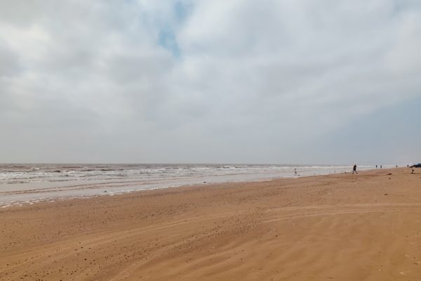 sandy shoreline of McFaddin Beach in Port Arthur Texas