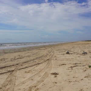 mcfaddin beach sandy shore in port arthur texas