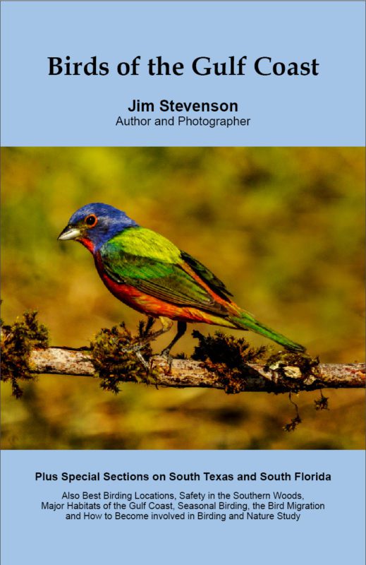 Birds of the Gulf Coast by Jim Stevenson