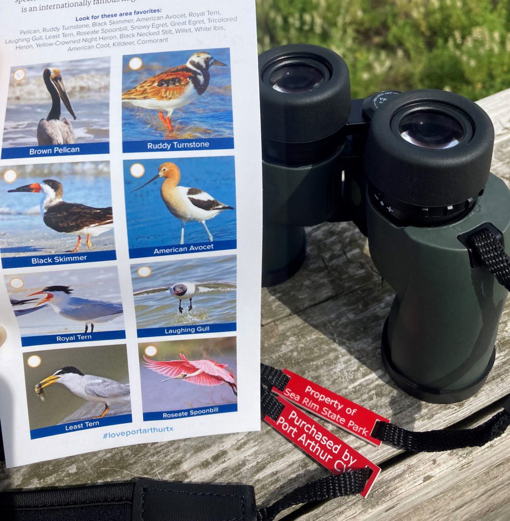 binoculars at sea rim state park 