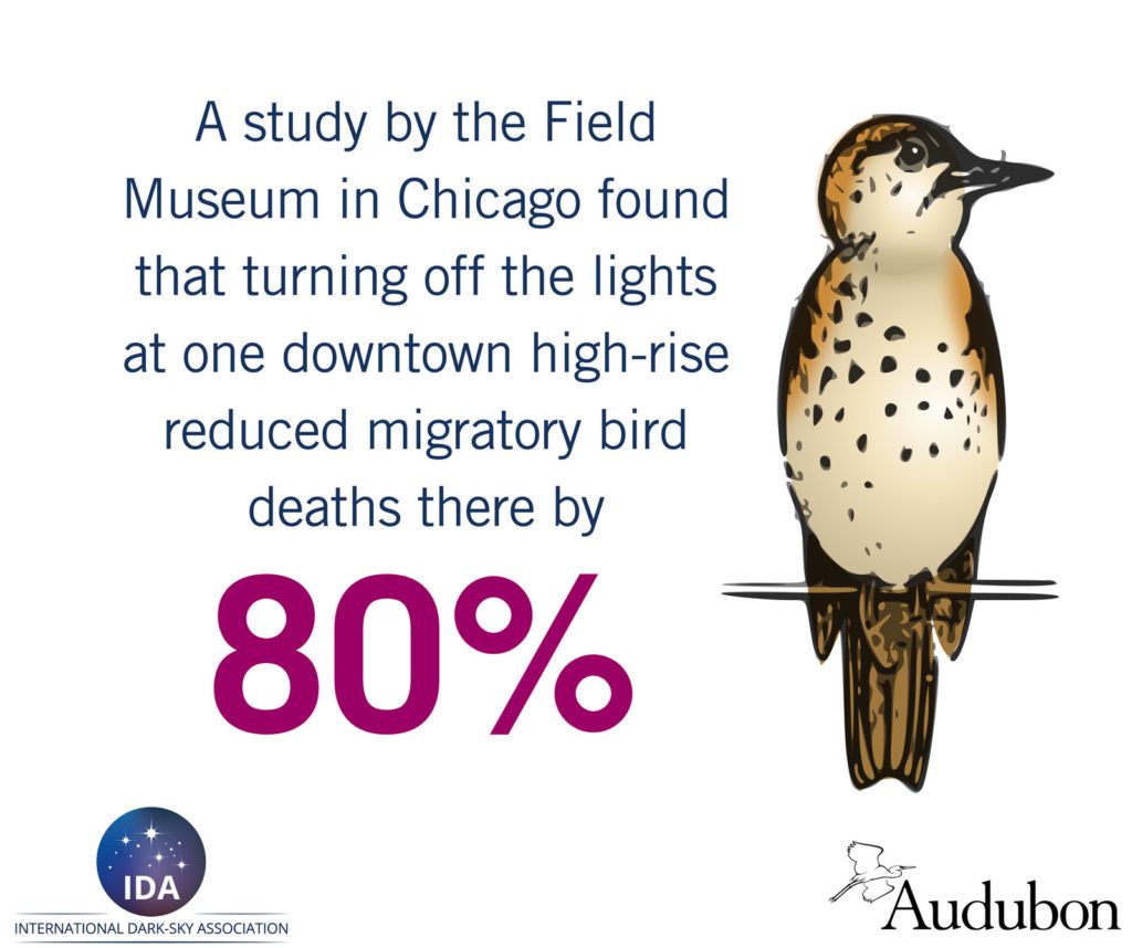 illustration showing less light reduces bird deaths by 80%