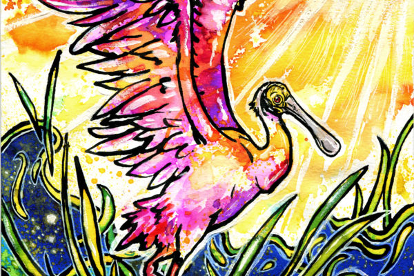 Roseate Spoonbill painting by Christina Baal