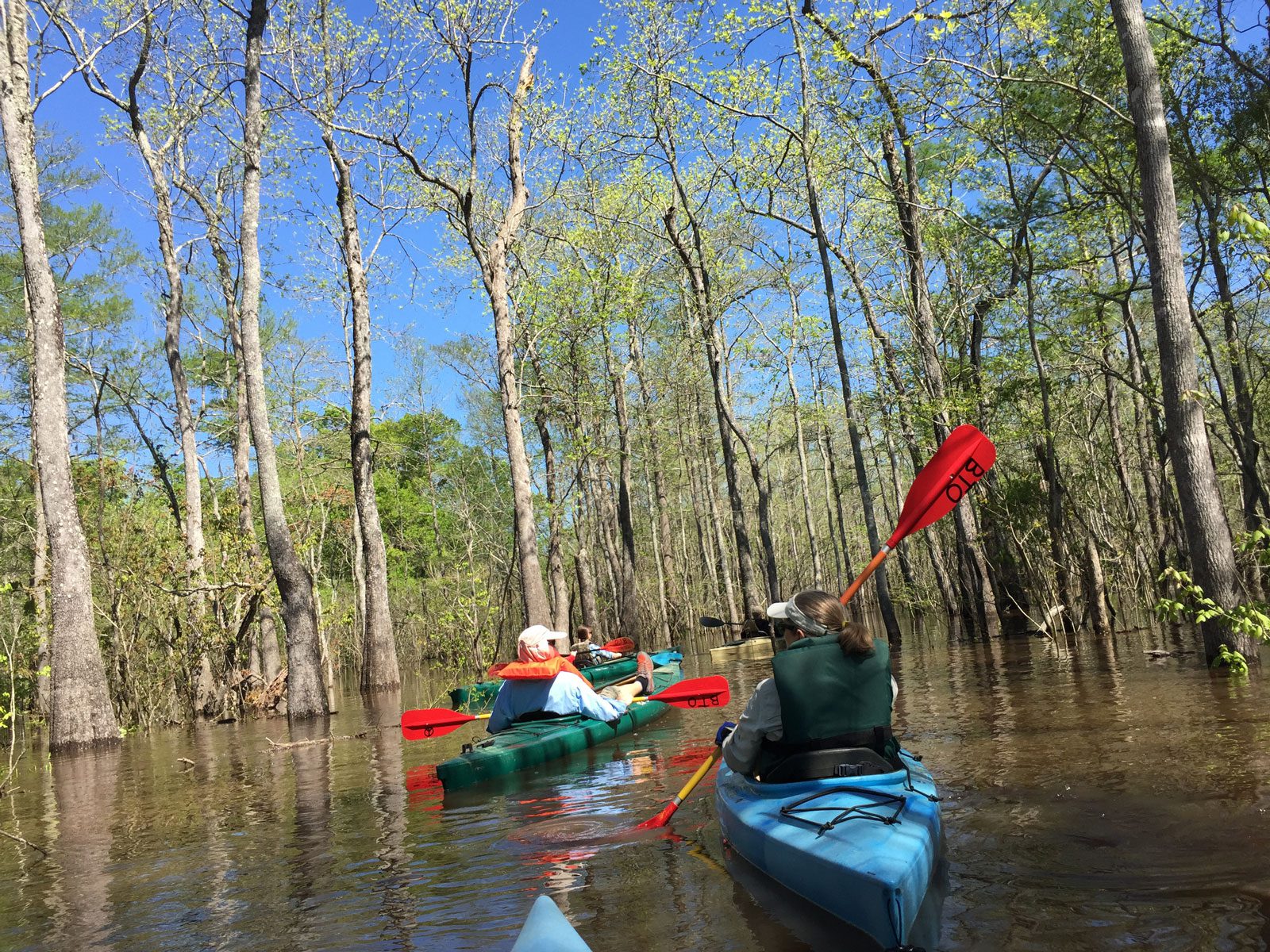 Kayakers paddling in southeast texas