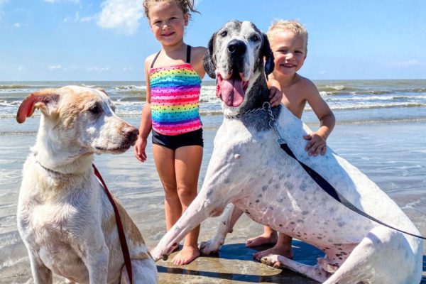 two kids with their pet dogs at mcfaddin beach in port arthurtexas