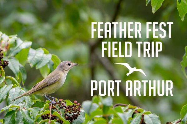 feather fest field trip port arthur