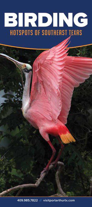 photo of a roseate spoonbill on the cover of the port arthur birding guide 2023