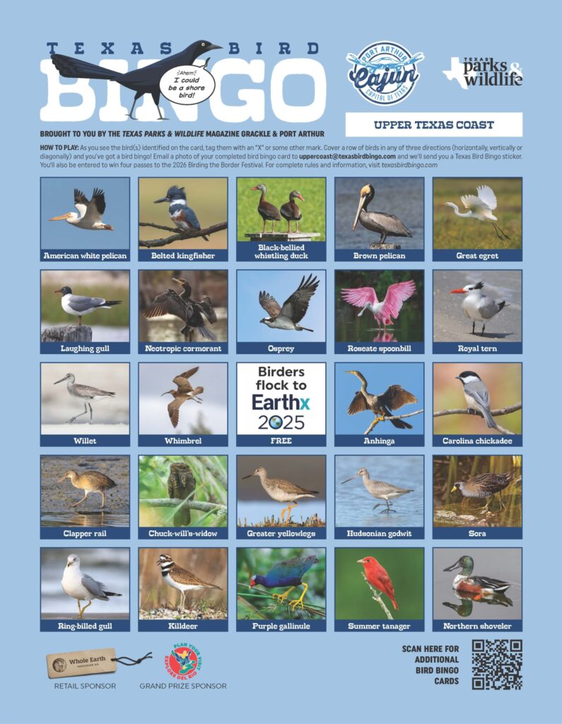 texas bird bingo card for the upper coast in 2025