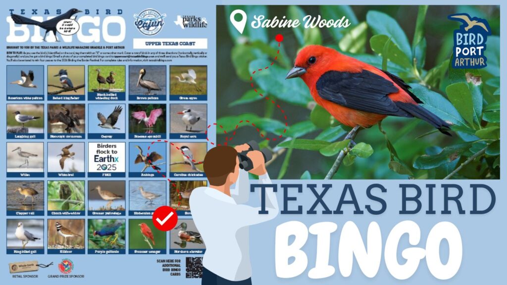 playcard for the 2025 bird bingo upper texas gulf coast