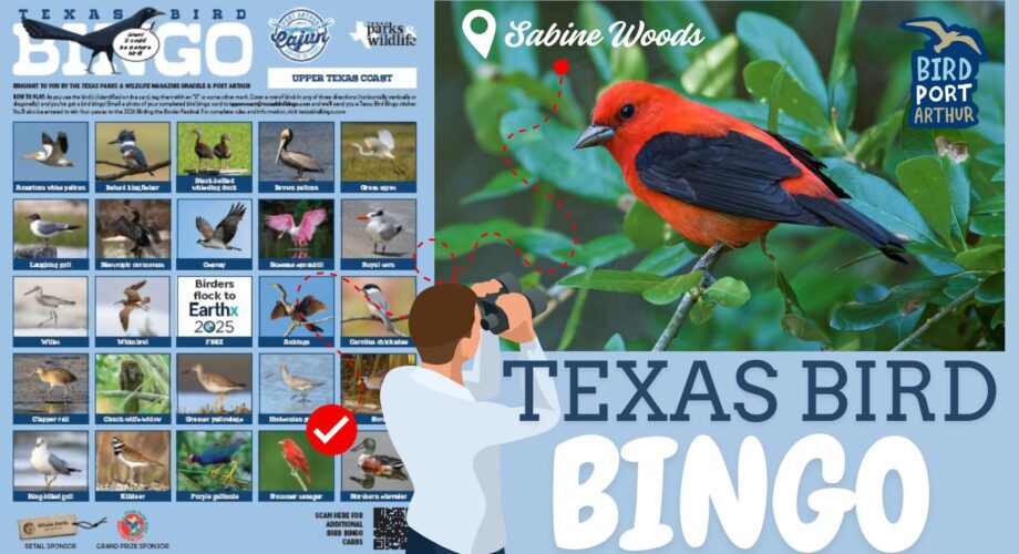 playcard for the 2025 bird bingo upper texas gulf coast