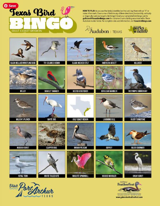 texas bird bingo card sponsored by visit port arthur texas 