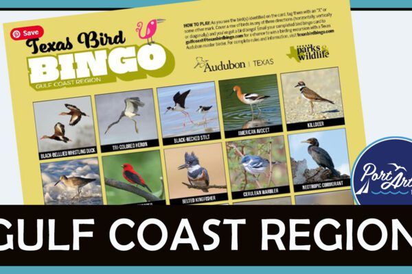 texas bird bingo card sponsored by visit port arthur texas