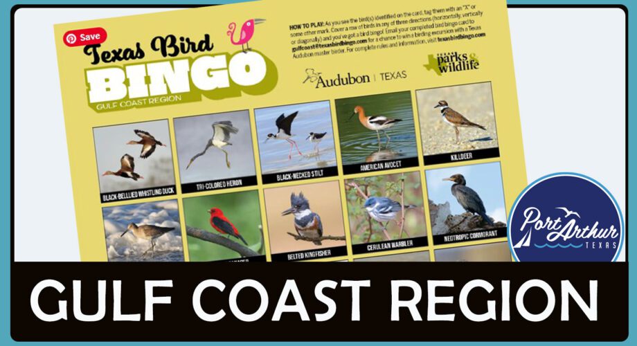 texas bird bingo card sponsored by visit port arthur texas