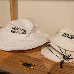 Doxie Coffee in Groves TX matching dog and human hats