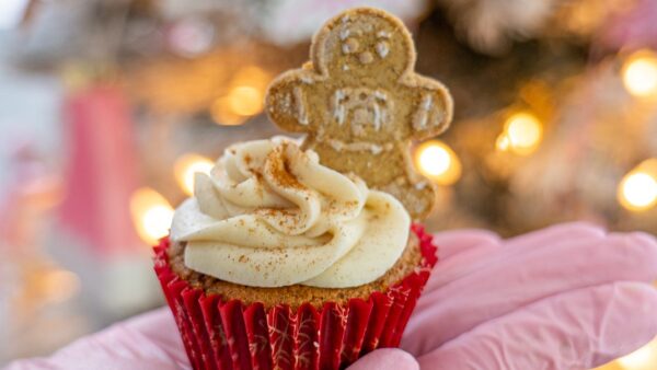 Talked About Sweets in Port Neches TX gingerbread man cupcake