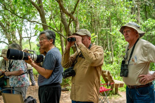 a group of birders using binoculars and cameras while birding at sabine woods in port arthur