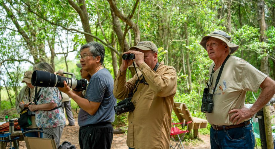 a group of birders using binoculars and cameras while birding at sabine woods in port arthur