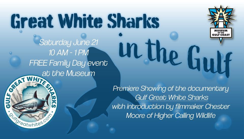 Great-White-Sharks-in-the-Gulf-Flyer Flyer of Great White Sharks in the Gulf documentary with intro by Chester Moore at Museum of the Gulf Coast.