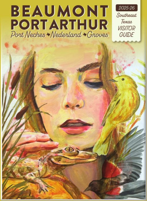 regional visitor guide cover to southeast texas