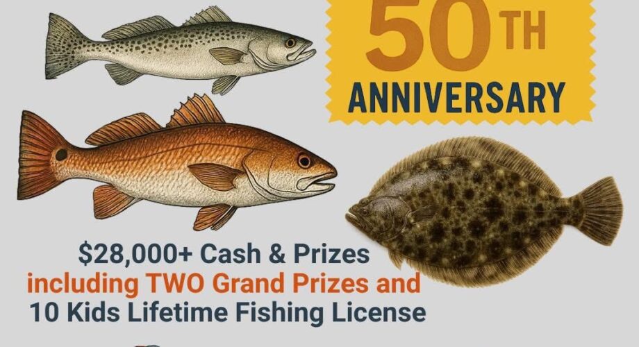SALT SUMMER CLASSIC 2025 flyer with fish