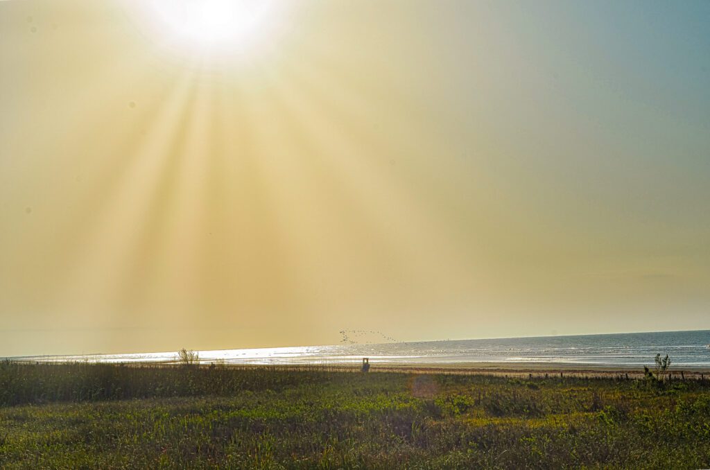 sunset or sunrise at sea rim state park in port arthur texas