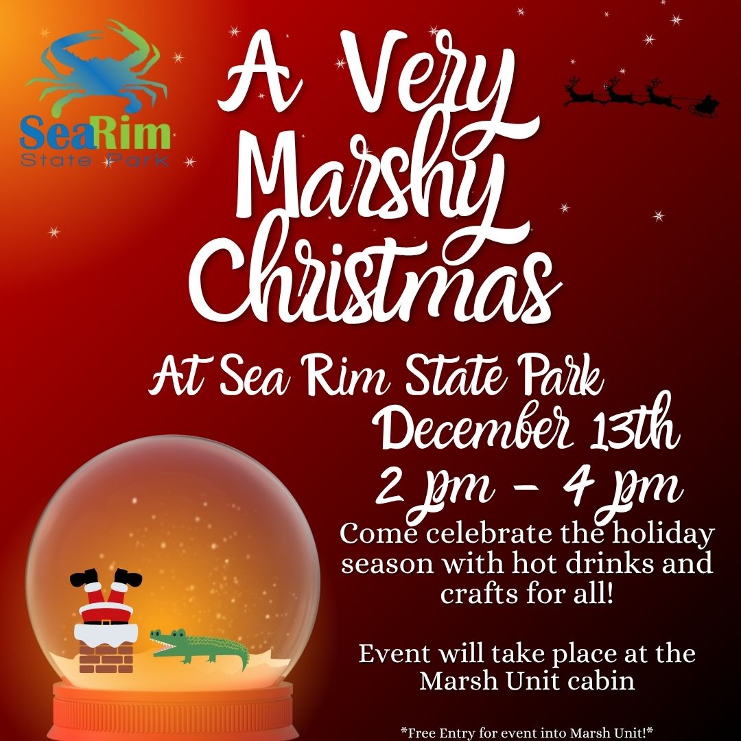Sea Rim poster for A Very Marshy Christmas, 2025